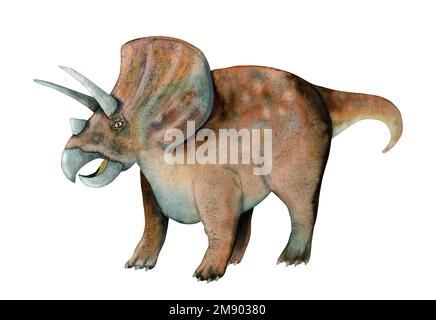 Abbildung: Braun-blaue Triceratops in Aquarellblau. Handgezeichnete alte Dinosaurier-Reptilien isoliert auf weißem Hintergrund. Stockfoto