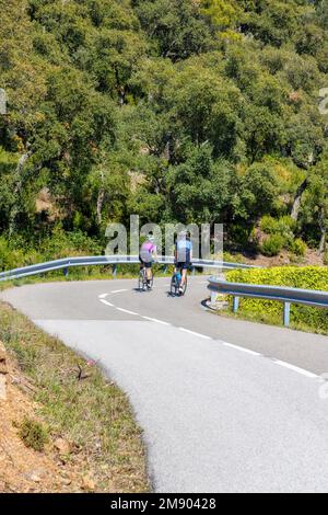 Ein paar Radfahrer fahren zusammen auf Straßenrädern in wunderschöner Natur. Stockfoto