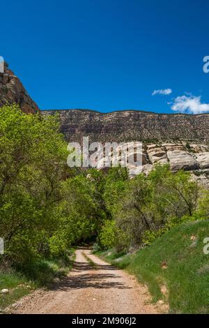 Yampa Plateau Klippen, Ufergebiet, Blick von Echo Park Road, Dinosaur National Monument, Colorado, USA Stockfoto