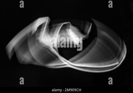Abstract von Calla-Liliensamen in Schwarz-Weiß Stockfoto