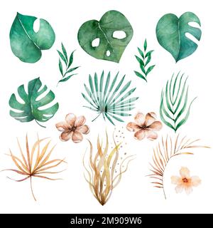 Exotische Pflanzen in Aquarellfarben. Tropische Blätter und Blumen Stockfoto
