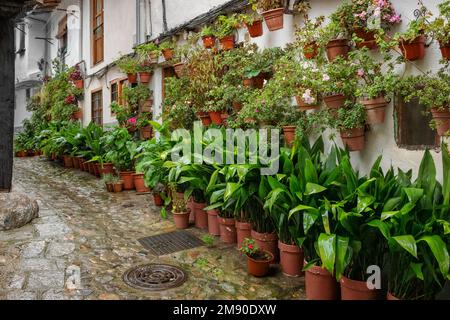 Hervas, Spanien - 8. Januar 2023: Typische Straße im alten jüdischen Viertel von Hervas. Extremadura. Spanien. Stockfoto