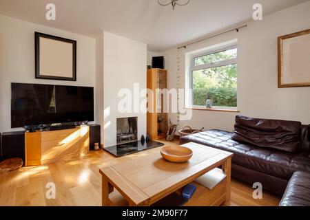 Modern eingerichtetes Wohnzimmer mit Holzfußboden, Fernseher und Kamin Stockfoto