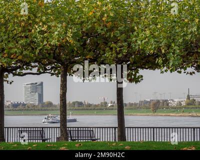 Ein Schiff auf der Rheinoberfläche, von einem Park in Düsseldorf aus gesehen Stockfoto