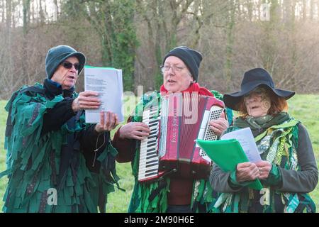 Wassailing-Veranstaltung im Weald and Downland Living Museum, Januar 2023, West Sussex, England, Großbritannien Stockfoto