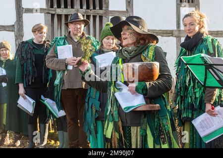 Wassailing-Veranstaltung im Weald and Downland Living Museum, Januar 2023, West Sussex, England, Großbritannien Stockfoto