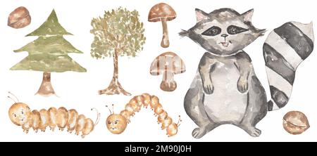 Wasserfarben, handgezeichnete Baby-Tier-Clipart. Waldtiere Illustration, Wald raccon, Bäume, Fir, Pilze, caterpillar, Nuss-Clip-Art, Kinderwand A Stockfoto
