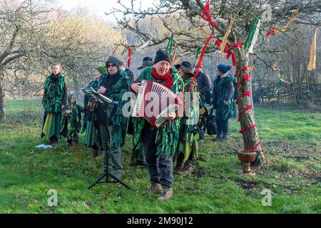 Wassailing Event im Weald and Downland Living Museum, Januar 2023, West Sussex, England, Großbritannien, In einem Apfelgarten. Stockfoto