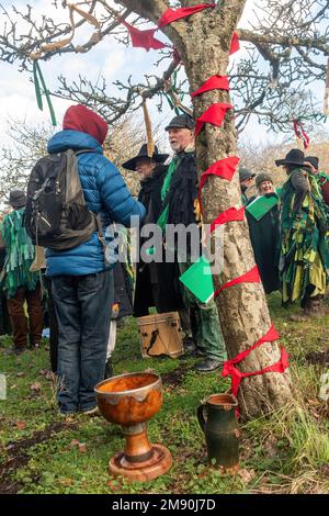 Wassailing-Veranstaltung im Weald and Downland Living Museum, Januar 2023, West Sussex, England, Großbritannien. Die Wassail-Schüssel neben einem Apfelbaum in einem Obstgarten Stockfoto