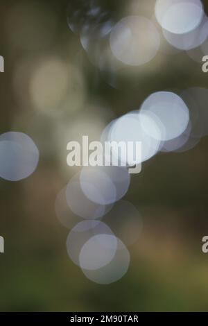 Wunderschöne, verschwommene, traumhafte, abstrakte Bokeh-Lichter, die in der Luft schimmern. Stockfoto