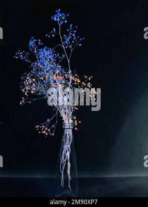 Abstrakter Blick auf trockene und verwelkte Blumen in einer Vase auf schwarzem Hintergrund Stockfoto