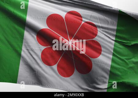 Unabhängige Taiwan-Flaggen-Variante, vier Herzen in Harmonie Symbol, Grüne Flagge Taiwans vorgeschlagen Stockfoto