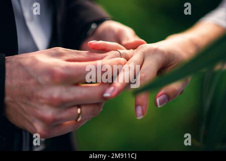 Tauschringe zur Hochzeitsregistrierung zwischen Braut und Bräutigam. Die Hände schließen sich Stockfoto