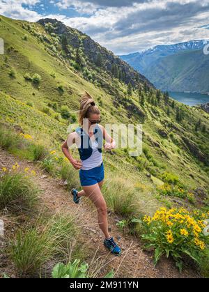 Noelle Synder Trail im Hells Canyon Stockfoto