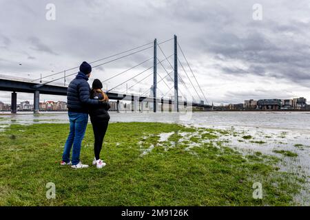 Steigender Wasserstand am Rhein in Düsseldorf, Regen und Stürme, Blick auf die Rheinkniebrücke, Altstadt, staatsparlament Stockfoto