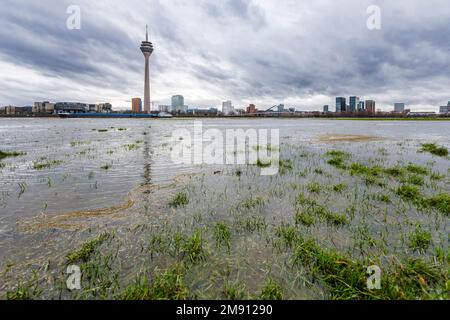 Steigender Wasserstand am Rhein in Düsseldorf, Regen- und Sturmwetter, Blick auf den Medienhafen, das staatsparlament, den Rheinturm Stockfoto