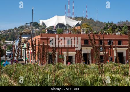 Das zeltartige Guelaguetza Auditorium am Fortin Hill mit Blick auf die Stadt Oaxaca, Mexiko. Austragungsort des jährlichen Guelaguetza Folk Dance Festivals. Stockfoto