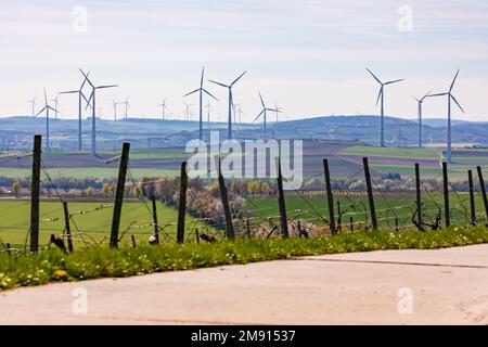 Landschaft mit Reben und Feldern vor unzähligen Windturbinen am Horizont in Rheinland-Pfalz Stockfoto