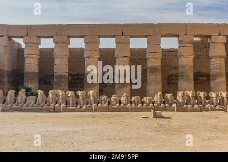 Rammen Sie Sphinxen vor dem Karnak-Tempel in Luxor, Ägypten Stockfoto