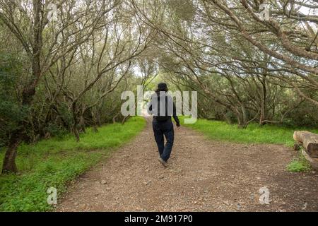 Es Grau, Minorca, Wandern auf dem Naturpfad im Naturpark Albufera des Grau, Menorca, Balearen, Spanien. Stockfoto