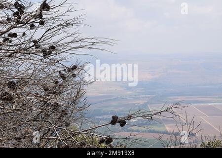 Golanhöhen - Straßen im Norden Israels Stockfoto