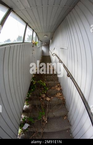Alte, heruntergekommene und vernachlässigte Treppen in einem verlassenen Gebäude. Stockfoto