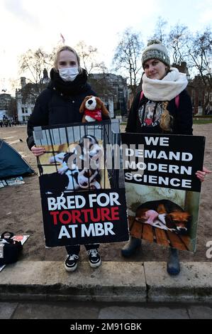 Parlamentsplatz, Januar 16 2023. London, Großbritannien. Am 16. Januar 2023 findet in Westminster Hall eine Debatte statt, in der gefordert wird, die kommerzielle Zucht von Hunden für Laboratorien zu verbieten und eine Reform zur Zulassung und Anwendung von Methoden ohne Tierversuche (NAMs) umzusetzen. Kredit: Siehe Li/Picture Capital/Alamy Live News Stockfoto