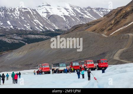 Columbia Ice Field, Columbia, Kanada Stockfoto