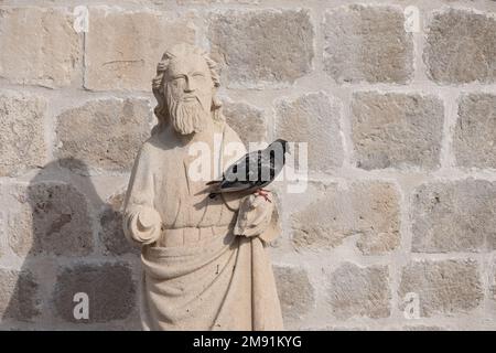 Eine Taube, die an einem sonnigen Tag in Dubrovnik, Kroatien, auf der Hand der Statue St. Blaise sitzt Stockfoto