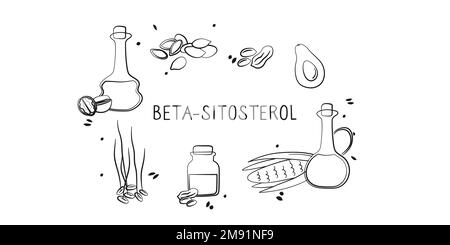 Beta-sitosterol-containing food. Groups of healthy products containing vitamins and minerals. Set of fruits, vegetables, meats, fish and dairy Stock Vektor