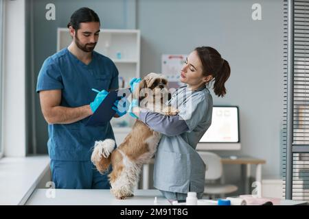 Junge Tierärztin in Uniform knuddelnder yorkshire Terrier stand während der Untersuchung auf dem medizinischen Tisch, während ihr Kollege Notizen machte Stockfoto