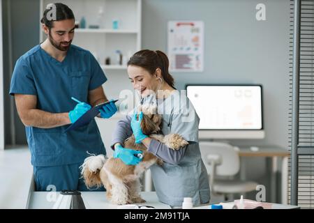 Glückliche junge Tierklinikerin in Uniform, die den süßen yorkshire Terrier mit Stethoskop untersucht, während der männliche Arzt Notizen macht Stockfoto