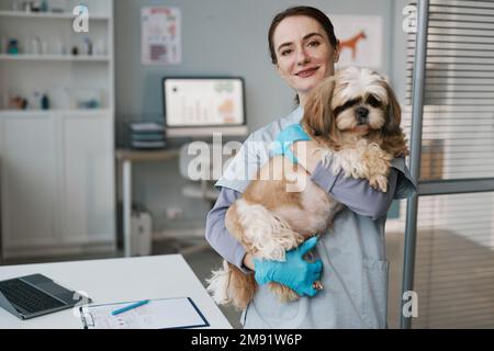 Junge erfolgreiche Tierärztin in medizinischen Peelings halten süßen flauschigen yorkshire Terrier, während sie in Kliniken vor der Kamera steht Stockfoto