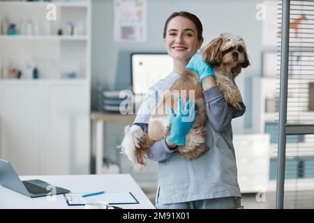 Junger erfolgreicher Tierarzt mit niedlichem yorkshire Terrier schaut auf die Kamera während am Arbeitsplatz in der medizinischen Praxis moderner Kliniken stehen Stockfoto