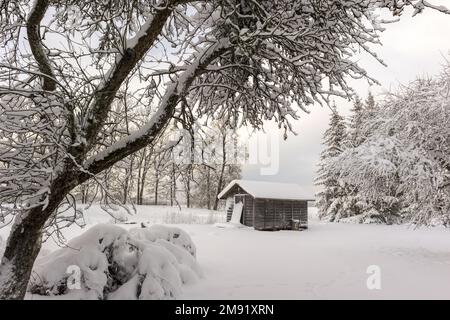 Verschneite Baumzweige an einem Wintertag mit einem kleinen Holzhaus in der Mitte des Bildes vor einem blauen Himmelshintergrund Stockfoto