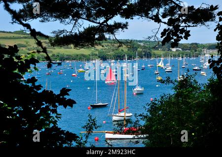 Blick über den Percuil Fluss durch die vielen Yachten, die im Fluss festgemacht sind, vom Küstenpfad in der Nähe von St. Anthony Head, Cornwall, England, Großbritannien Stockfoto