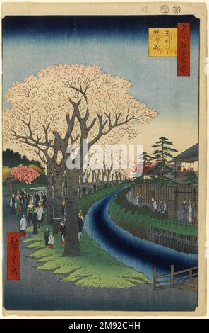 Blüten am Ufer des Flusses Tama, Nr. 42 in hundert berühmten Ausblicken auf Edo Utagawa Hiroshige (Ando) (Japanisch, 1797-1858). , 2. Monat 1856. Holzblockmuster, 14 5/16 x 9 5/16in. (36,4 x 23,7cm). Der „Tama River“, eigentlich das Tama River Aquädukt, transportierte einen Großteil des Trinkwassers für die Stadt Edo auf einem 30 Meilen langen Kurs. Hiroshiges Frühlingsblick vermittelt eine Frische und Vitalität, die dieser Lebenslinie angemessen ist. Die Kirschbäume wurden in den 1730er Jahren entlang des Ufers gepflanzt. Die Platzierung war nicht nur ästhetisch, sondern auch praktisch: Die Wurzeln der Bäume stärkten den Ba Stockfoto