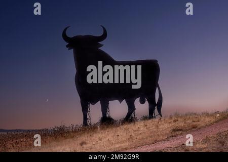 Der Osborne Black Bull bei Sonnenuntergang Stockfoto