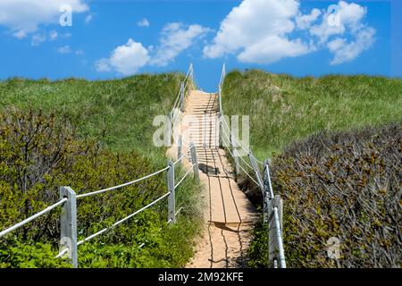 Pfad durch die Sanddünen zum Strand im PEI-Nationalpark auf Prince Edward Island, Kanada. Stockfoto