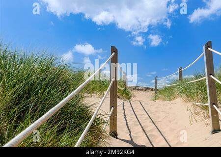 Pfad durch die Sanddünen zum Strand im PEI-Nationalpark auf Prince Edward Island, Kanada. Stockfoto