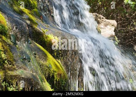 BIG ISLAND-HAWAII-17-06-2104. Moose auf Felsen sind neben dem Wasserfall im Regenwald der Big Island zu sehen. © JOSE ISAAC BULA URRUTIA. Stockfoto