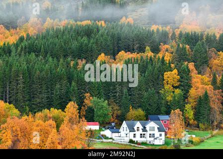 Blick auf die Dorfhäuser, umgeben von bunten Herbstbäumen und Wäldern in der nordnorwegischen Landschaft Stockfoto