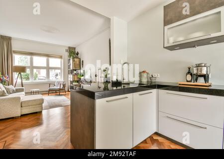 Offene Küche mit modernen Geräten und Wohnzimmer mit neuen Möbeln in einem neuen, offenen Apartment Stockfoto
