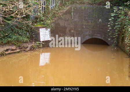 Die Roach-Schlucht fließt in das Rochford Reservoir, hoch nach starkem Regen Stockfoto