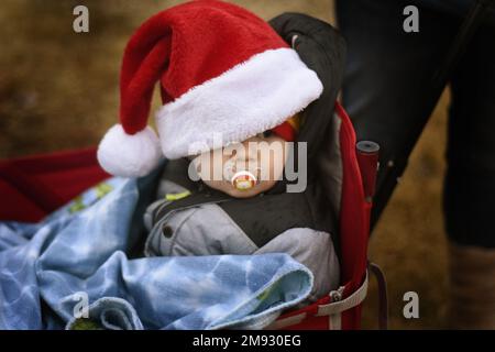 Ein 18 Monate alter Junge mit einem Schnuller im Mund, eingewickelt in eine Decke, blickt bei Weihnachtsaktivitäten unter einem mit Fell verzierten Weihnachtsmann-Hut hervor Stockfoto