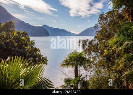 Atemberaubende Aussicht vom Olive Trail auf den Luganer See mit kleinem Garten am Helenium Garten (?) Und Berge von Schweizer Alpen und glänzende Wasseroberfläche Stockfoto