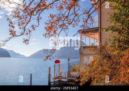 Atemberaubende Aussicht vom Olive Trail auf den Luganer See mit herbstfarbenem Ahorn und einem Busch in Orange und Gebäude Stockfoto