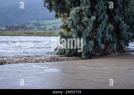 Der Salinas River überflutete seine Ufer und überschwemmte nach einer Reihe stimmungsvoller Ereignisse in Kalifornien landwirtschaftliche Felder Stockfoto