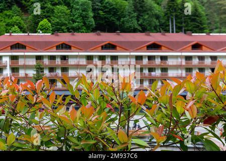 Sairme, Georgia, 06.06.21. Hotel Sairme (Sanatorium) Gebäude im Kurort Sairme im Kleinkaukasus Berge durch bunte Blätter zu sehen. Stockfoto