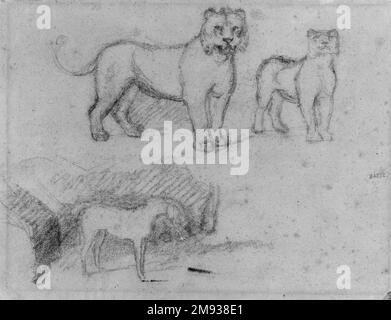 Zwei Standing Lionesses und ein Horse Antoine-Louis Barye (Französisch, 1795-1875). , N. d. Graphit auf liegendem Papier, Blatt: 8 5/8 x 11 3/8 Zoll (21,9 x 28,9 cm). European Art n.d. Stockfoto